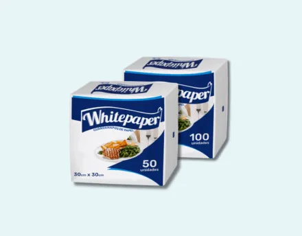 Produto 4 (1) - Whitepaper